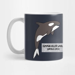 Evolution of the Killer Whale | Games & Upgrades Mug